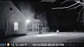 THIS IS THE MOST ALARMING FOOTAGE EVER CAPTURED ON A RING CAM [upl. by Ennirak]