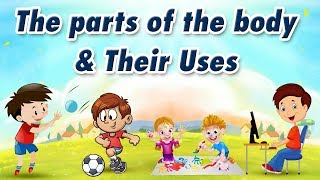 The Parts of the Body and Their Uses  Educational Videos For Kids [upl. by Atnoved411]