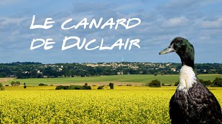 Canard de Duclair [upl. by Gonta132]