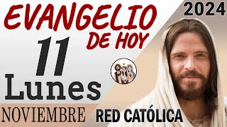 Evangelio de Hoy Lunes 11 de Noviembre de 2024  REFLEXIÓN  Red Catolica [upl. by Einallem395]