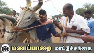 Manapparai mattu santhai  மணப்பாறை மாட்டு சந்தை [upl. by Nimzaj502]