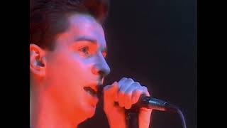 Depeche Mode  1981 Tour The Last Concert with Vince Clarke [upl. by Eidac644]