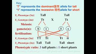 Form 5 KSSM Biology Chapter 11 part 1 [upl. by Loeb]