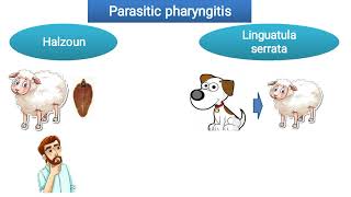 Parasitic pharyngitis Halzoun  Linguatula serrata [upl. by Cathey]