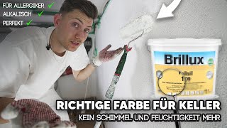 Kein Schimmel mehr durch diese Farbe Keller richtig streichen mit Brillux Silikatfarbe [upl. by Jewelle]