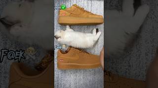 Real Vs Fake Brown Supreme Air Force 1 sneakerhead sneakers viral [upl. by Reifnnej]