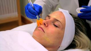 How Estheticians Clean Pores  Skin Care Topics [upl. by Cartwell667]