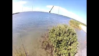 Giant Manta ray Stingray jumping out of the water [upl. by Adnamor]