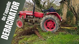 Déraciner des arbres avec le ZETOR  le danger nest pas là où on le croit  Ep113 [upl. by Yank]