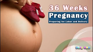 Week 36 of Pregnancy Preparing for Labor and Delivery  36 Weeks Pregnant  What to Expect [upl. by Oisangi]