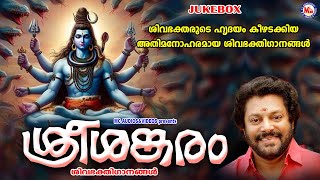 ഓരോ ശിവഭക്തരുടെയും ഹൃദയം കീഴടക്കിയ ശിവഭക്തിഗാനങ്ങൾ  Hindu Devotional Songs Malayalam  Sivan Songs [upl. by Cherie]