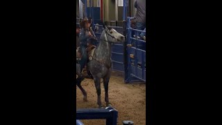 Lisa Lockhart 2023 NFR Round 6 [upl. by Ssidnak90]