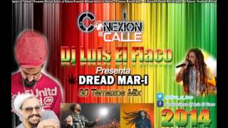 DREAD MAR I  Los 30 Temazos  DJ LUIS EL FLACO  Conexion de Calle  Enganchado Dread MarI [upl. by Bunow]