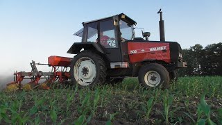 Interrow tilling corn [upl. by Hortense]