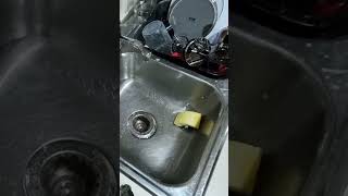 dishwash asmr dishwasher soap water cleaning cutlery householdchores kitchenchores [upl. by Inatirb]