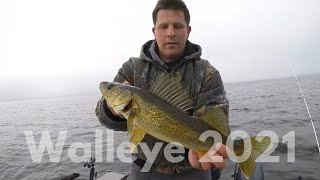 8 Walleye in 34 Minutes Opening Weekend Slam Continues [upl. by Caputto968]