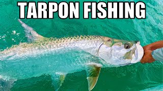 Tampa Bay Tarpon Fishing Madness Tips Tricks And Techniques To Catch Tarpon [upl. by Rainwater211]