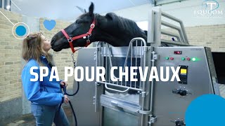 SPA pour chevaux une THERAPIE fantastique [upl. by Etiam]