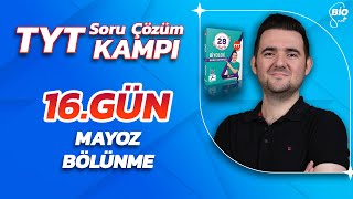 Mayoz BoÌˆluÌˆnme Soru CÌ§oÌˆzuÌˆmuÌˆ  21 GuÌˆnde TYT Biyoloji KampÄ±16 [upl. by Owain]