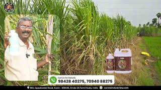 Sugarcane Cultivation Feedback From Farmers [upl. by Woodie]