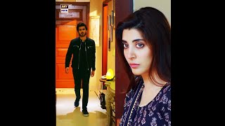 Amanat Episode 19  Promo  Presented By Brite  ARY Digital Drama [upl. by Eceeryt989]