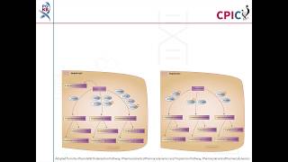 CPIC guideline for Ondansetron Tropisetron and CYP2D6 [upl. by Balliett]