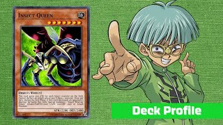 YuGiOh Character Deck Profile Weevil Underwood [upl. by Paten84]