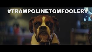 John Lewis Christmas Advert PARODY 2016  BusterTheBoxer TrampolineTomfoolery [upl. by Eniamart846]