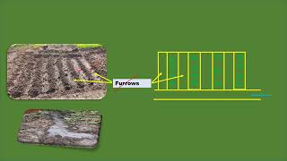 Furrow Irrigation  Furrow irrigation system  Civil Engineering [upl. by Ern68]