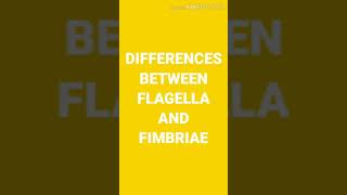 Differences between Flagella and Fimbriae [upl. by Hoffarth962]