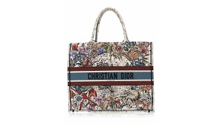 Christian Dior Canvas Embroidered Zodiac Large Book Tote Latte Multicolor [upl. by Inoy929]