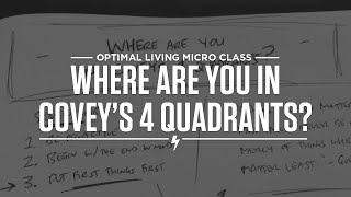 Where are you in Coveys 4 Quadrants [upl. by Dnalel]