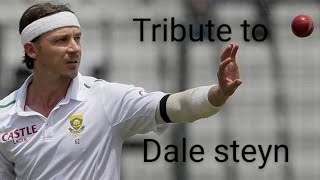 Tribute to Dale steyn [upl. by Icnan]