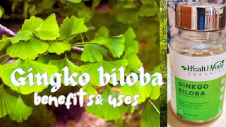 What is gingko biloba benefits amp uses malayalam ജിൻകോബൈലോബ അറിവ് heavensoultruepath [upl. by Eihcra]