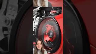 Accesorios Rizoma para hacer todavía más única la Ducati Panigale V4 rizoma ducati panigalev4 [upl. by Ayhay]