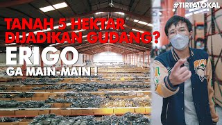 tirtalokal TANAH 5 HEKTAR DIJADIKAN GUDANG ERIGO GAK MAINMAIN [upl. by Yalonda]