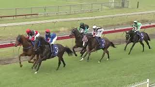 Wauchope 19 10 2024 Race 1 [upl. by Merrielle]