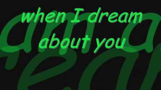 When I Dream About You w lyrics  Stevie B rock cover [upl. by Hindu]