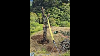 Pulling out a tree stump with the Wyeth Scott More Power Puller [upl. by Bush183]