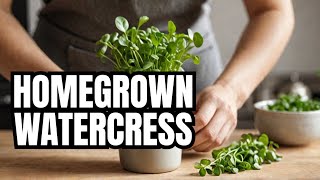 How to Grow Watercress at Home Easy [upl. by Milde]