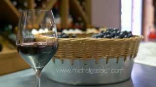 Michel Gassier  Syrah Costières de Nîmes Exception [upl. by Olotrab]