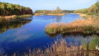 Sopron Fertöto Neusiedlersee [upl. by Popelka]