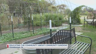 Texarkana community garden education class [upl. by Winifield]