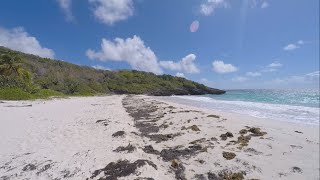 Swimming and Snorkeling In Vieques Puerto Rico [upl. by Edana]