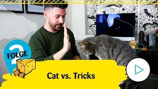 Dreamies präsentiert Cat vs Tricks  Folge 2 [upl. by Esbenshade]