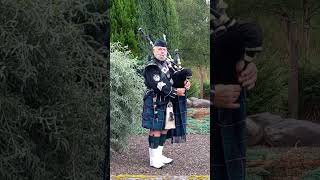 Cameronians Scottish Rifles Piper [upl. by Arateehc]