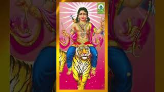 இருமுடி தாங்கி  Ayyappan Padal  Mayil Devotional bakthi shorts ayyappan tamilgod [upl. by Assital861]