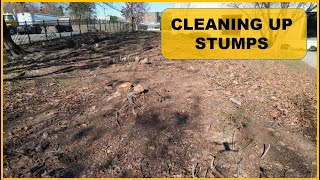 Cleaning up some tree and shrub stumps with a skidsteer root rake [upl. by Eelrehpotsirhc]