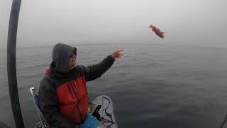 Foggy slow fishing in La Jolla [upl. by Germayne]