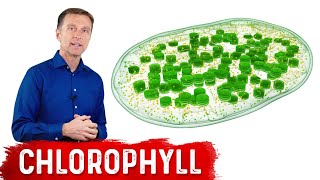 9 Proven Benefits of Chlorophyll [upl. by Linell]